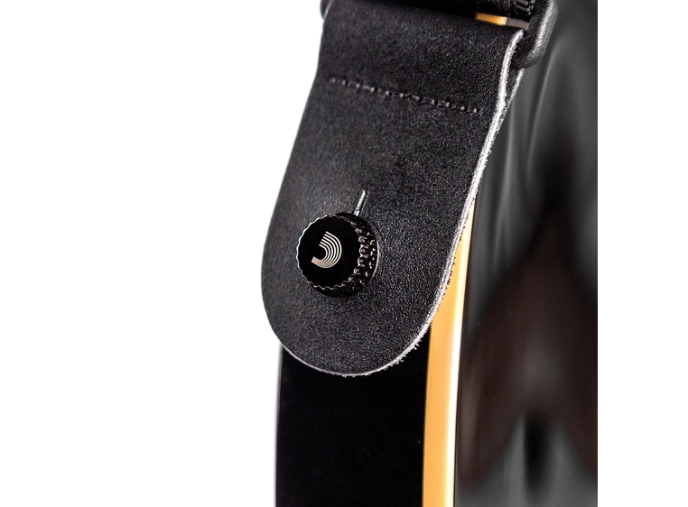 Planet Waves PW-SLS-01 NS Strap Lock System (2) Black 