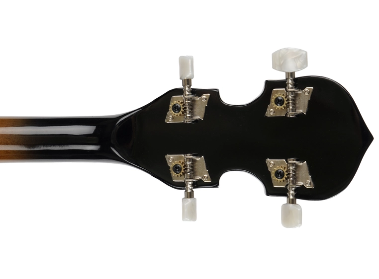 Woodrock BJO 50 banjo 