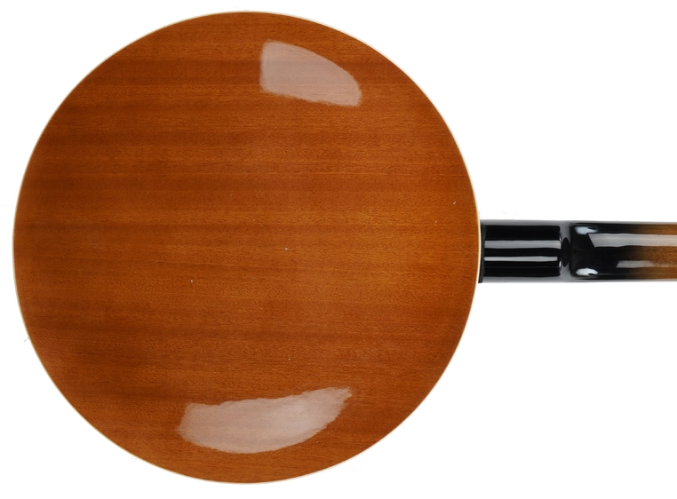 Woodrock BJO 50 banjo 