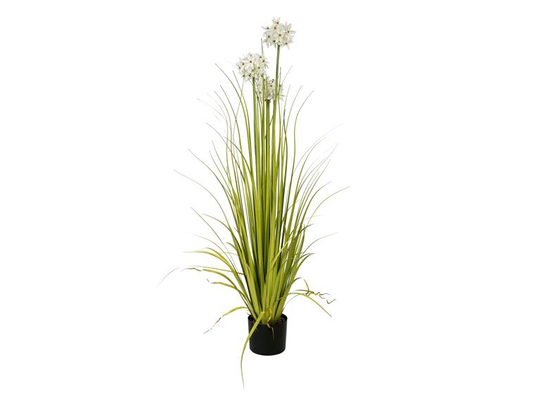 Europalms Allium grass artificial plant, white, 120 cm