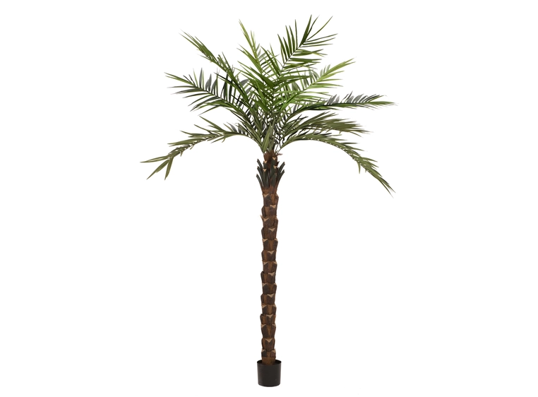 Europalms Kentia palm tree deluxe artificial plant, 300cm 