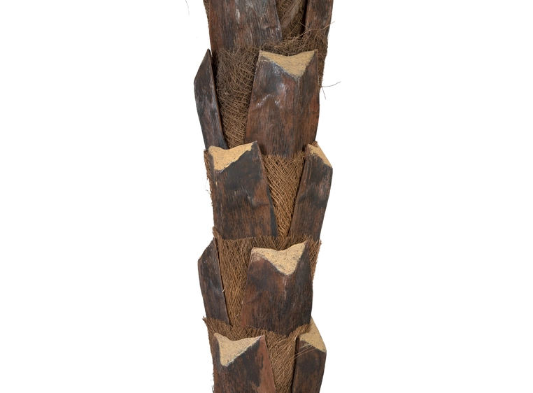 Europalms Kentia palm tree deluxe artificial plant, 300cm 