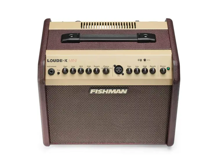 Fishman Loudbox Mini - 60 watts with Bluetooth (PRO-LBT-500) 