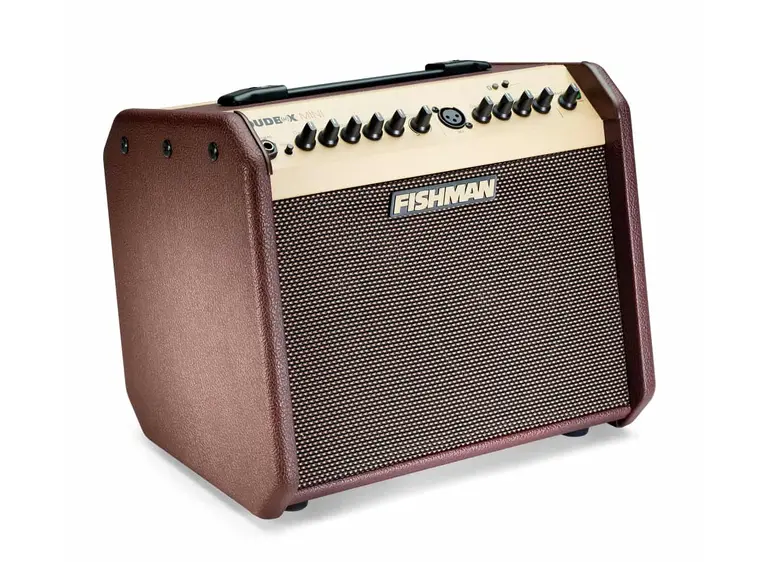 Fishman Loudbox Mini - 60 watts with Bluetooth (PRO-LBT-500) 