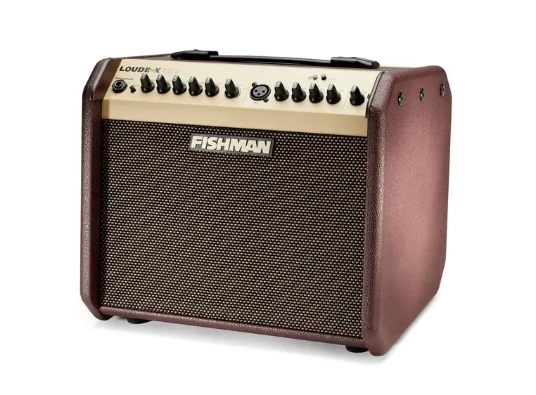 Fishman Loudbox Mini - 60 watts with Bluetooth (PRO-LBT-500) 