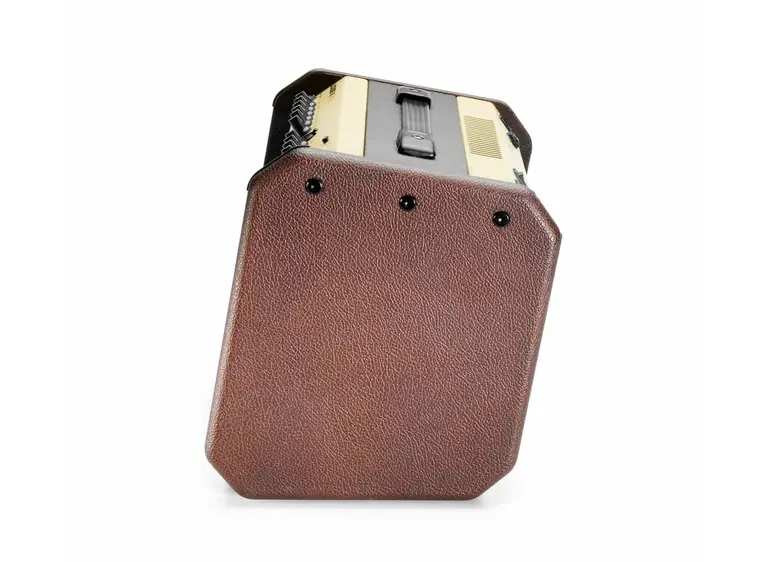 Fishman Loudbox Mini - 60 watts with Bluetooth (PRO-LBT-500) 