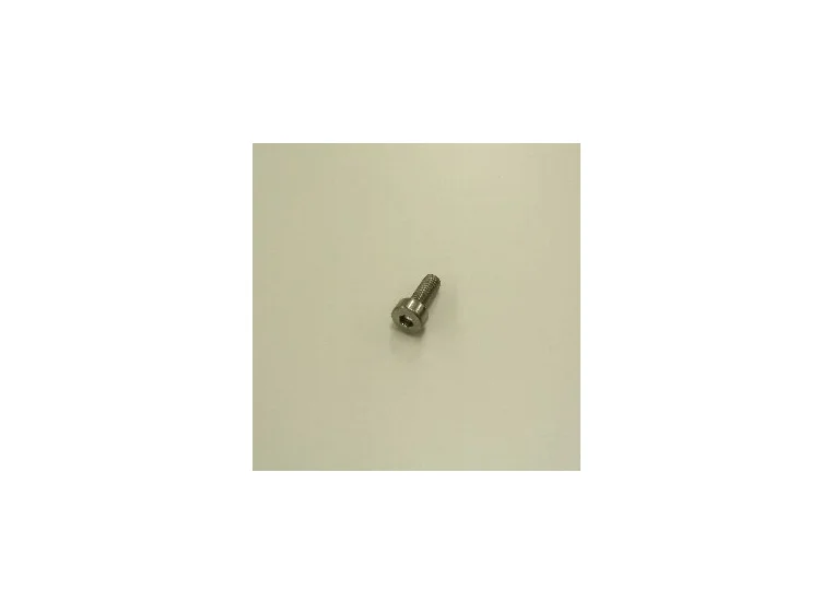 Ibanez 2GBX5BA002 Saddle holding screw Tight-End, Chrome 
