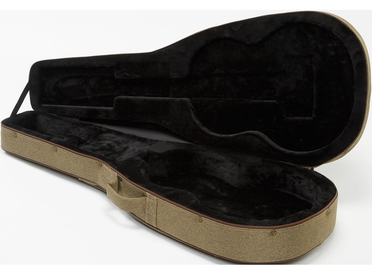 Ibanez FS40CL Foamcase Classic 