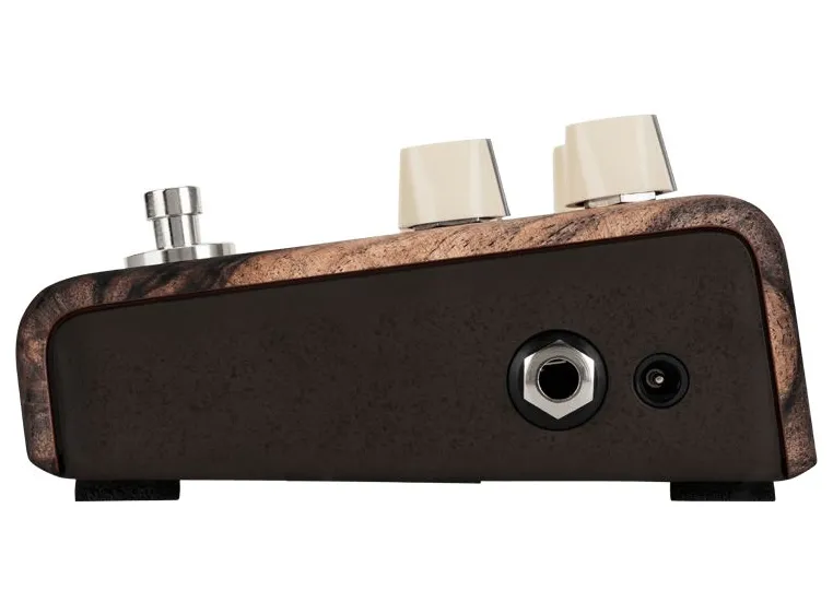 L.R.Baggs Align Chorus 