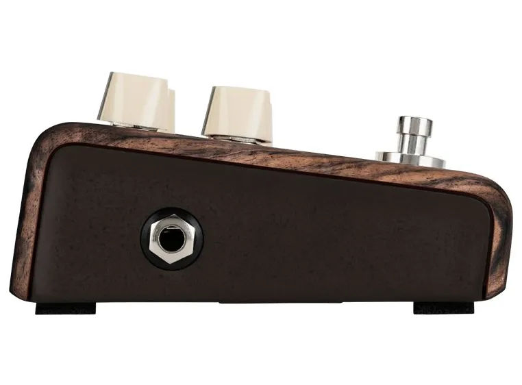 L.R.Baggs Align Chorus 