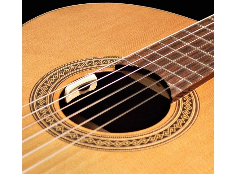 L.R.Baggs Anthem-SL-C f/ Classical Guitar 