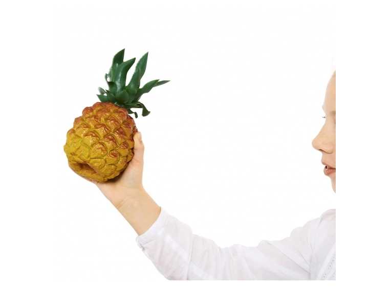 Nino Percussion NINO595 Pinapple shaker 