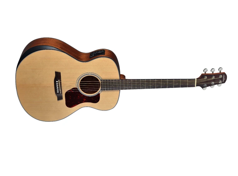 Walden G550REW Grand Auditorium 