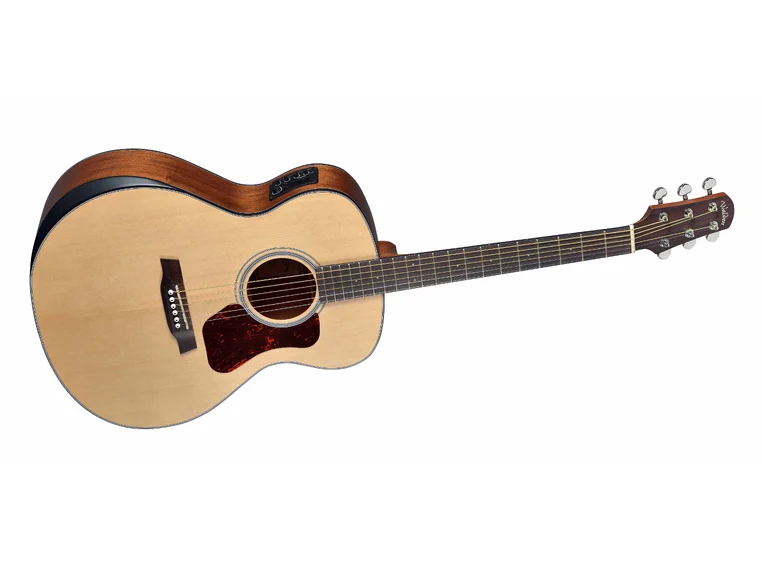 Walden G550REW Grand Auditorium 