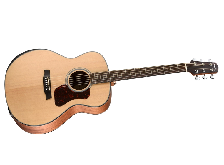 Walden G550REW Grand Auditorium 