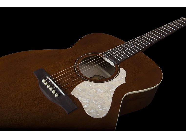 Art & Lutherie Legacy Havana Brown Q-Discrete preamp 
