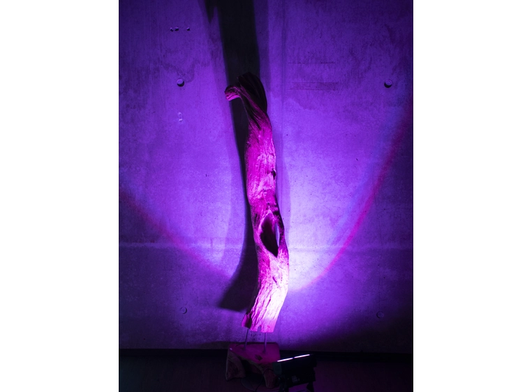 Eurolite LED CBB-2 COB RGB Bar 