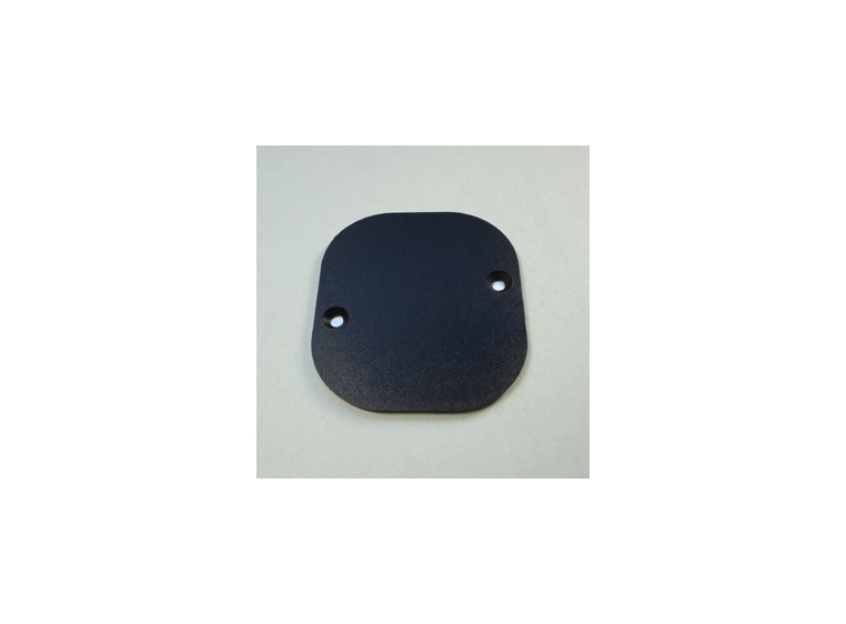 Ibanez 4PTX5A0006 bakplate Jack RG 