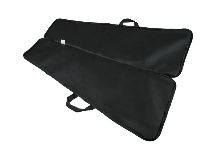 Jackson Economy Gig Bag Rhoads/King V/Kelly 