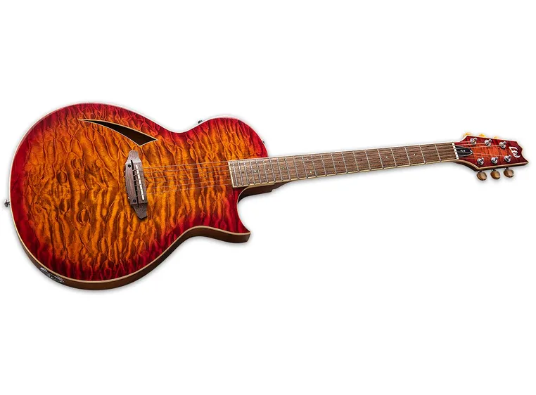 LTD TL-6 Tiger Eye Burst 