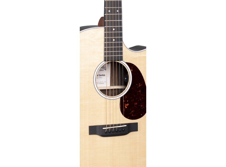 Martin GPC-13E Ziricote 