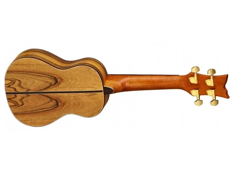 Ortega LIZARD-CC-GB Concert ukulele med mik og gigbag 