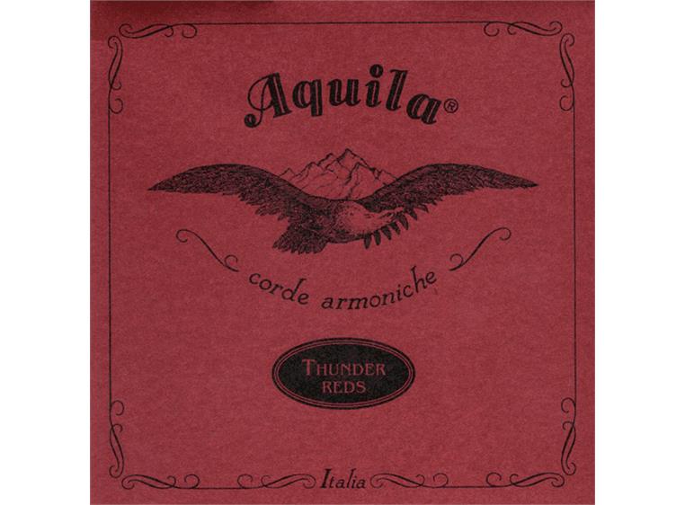 Aquila 68U Performance Thunder Guts Bass Ukulele EADG