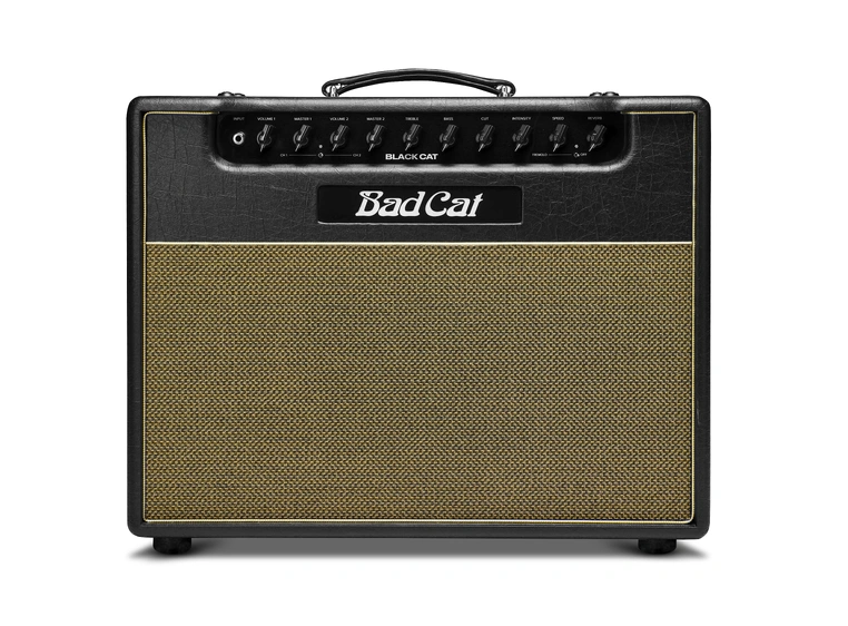 Bad Cat Black Cat 1x12 Combo 