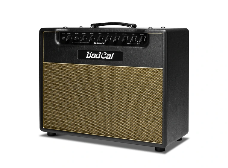 Bad Cat Black Cat 1x12 Combo 