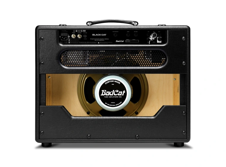 Bad Cat Black Cat 1x12 Combo 