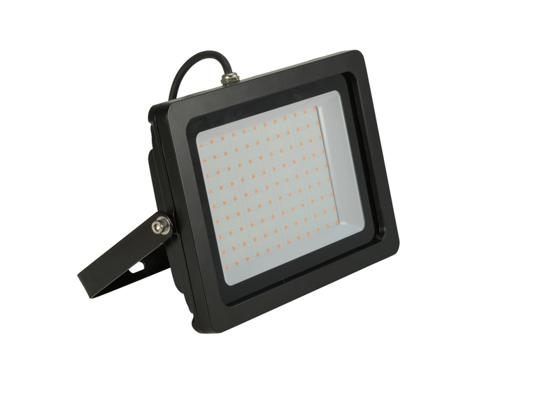 EUROLITE LED IP FL-100 SMD grønn 