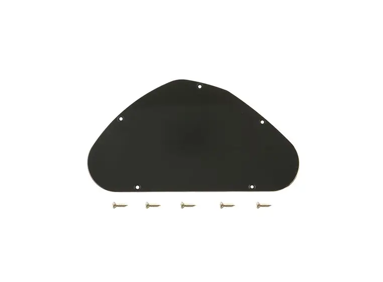 Gibson S&A CP-020 SG Control Plate Standard Black 