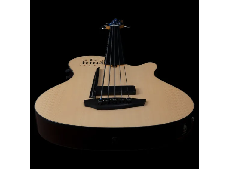 Godin A5 Natural Fretless A/E Bass 