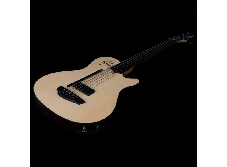 Godin A5 Natural Fretless A/E Bass 
