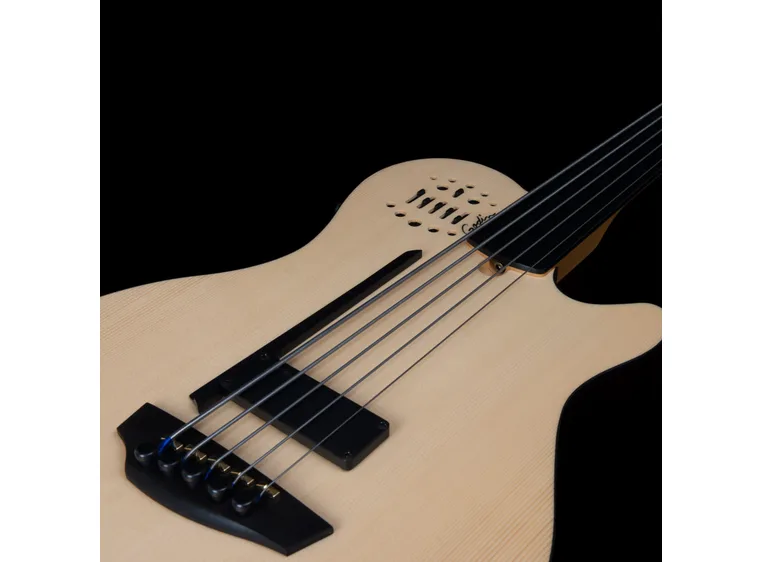 Godin A5 Natural Fretless A/E Bass 