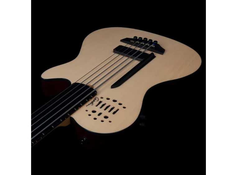 Godin A5 Natural Fretless A/E Bass 