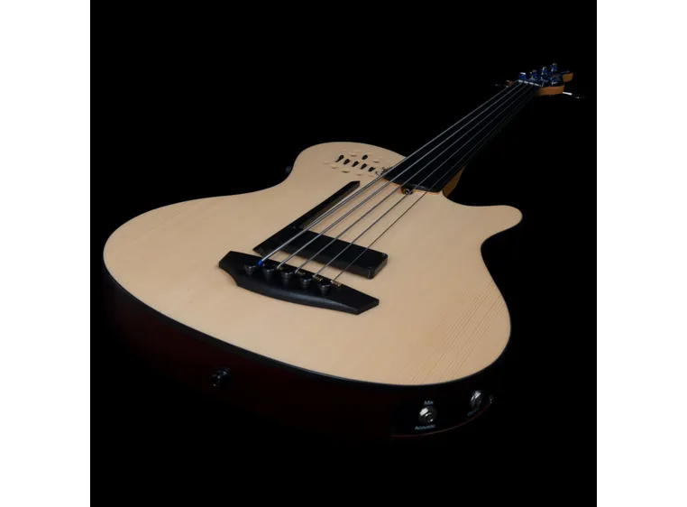 Godin A5 Natural Fretless A/E Bass 