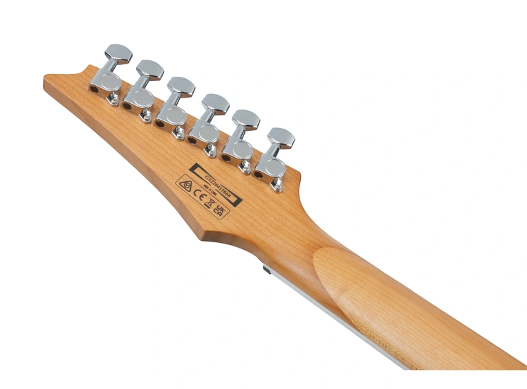 Ibanez GRG220PA1-BKB 