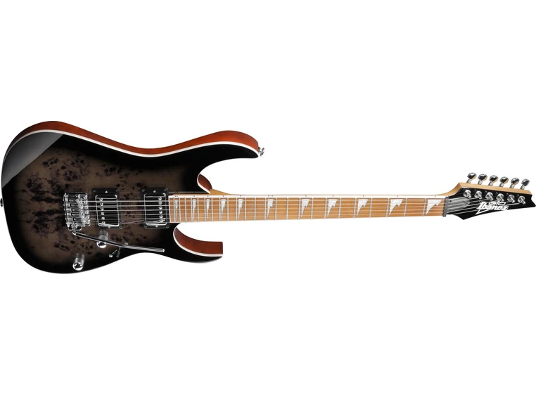 Ibanez GRG220PA1-BKB 