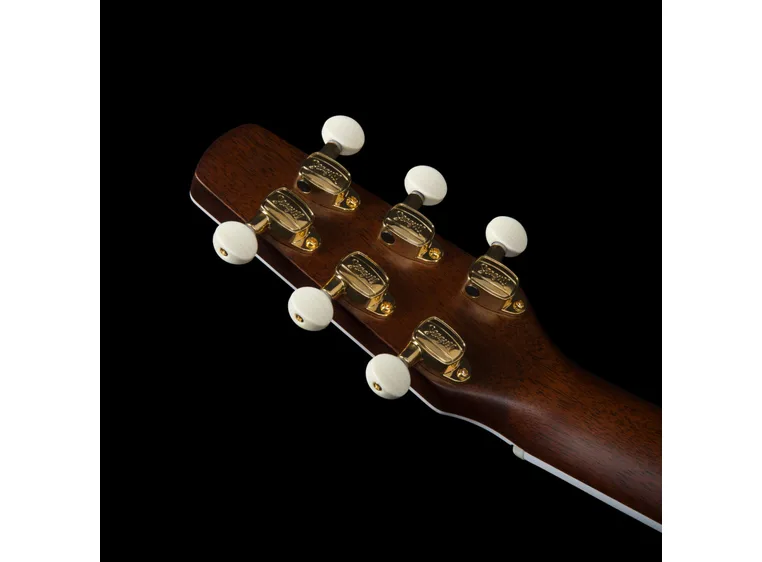 Seagull Seagull Artist Mosaic EQ 