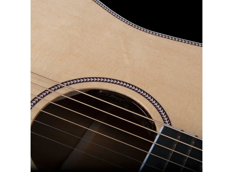 Seagull Seagull Artist Mosaic EQ 