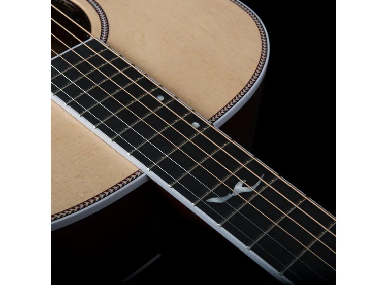 Seagull Seagull Artist Mosaic EQ 