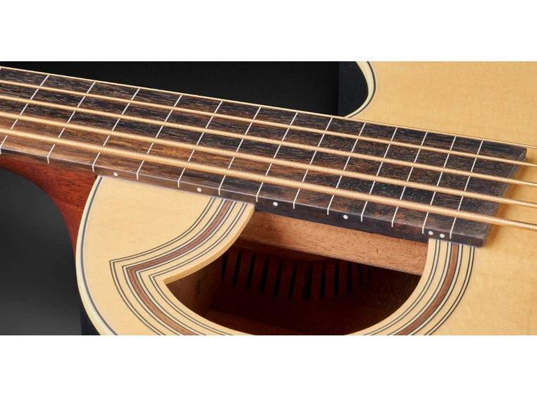 Warwick RockBass Alien Standard 5String, Fretl./Lines, Nat. Transp.Satin 