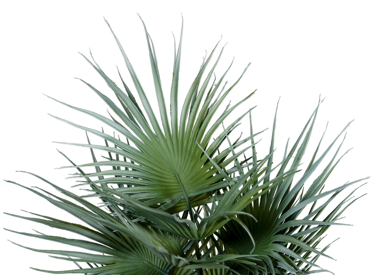EUROPALMS Fan palm, artificial plant 55cm 