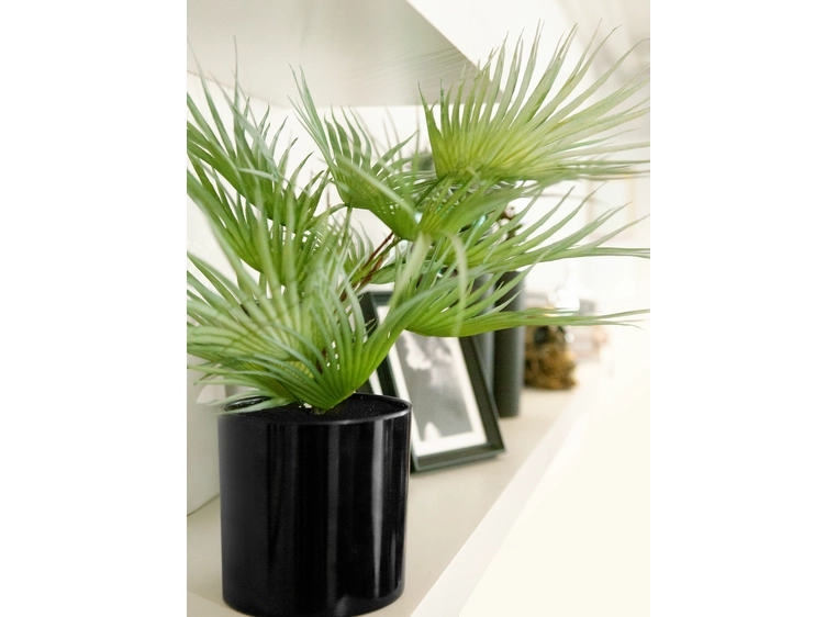 EUROPALMS Fan palm, artificial plant 55cm 