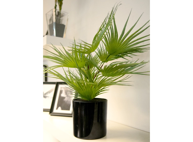 EUROPALMS Fan palm, artificial plant 55cm 