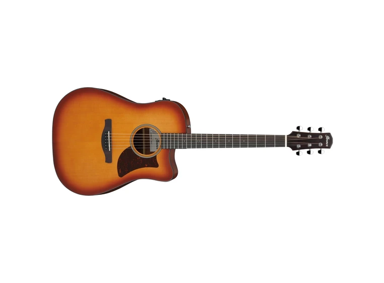 Ibanez AAD50CE-LBS 