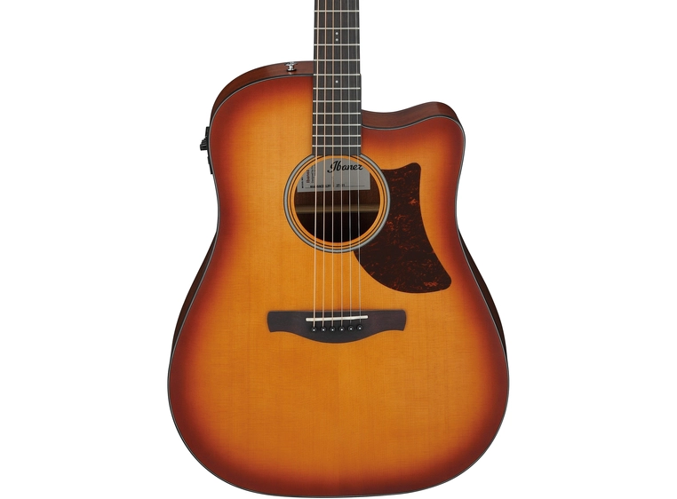 Ibanez AAD50CE-LBS 