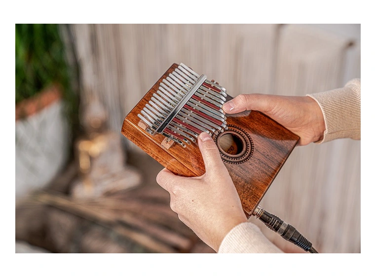 Meinl Sonic Energy PKL1707H Kalimba med pickup, C Major 17-Notes, Acacia 