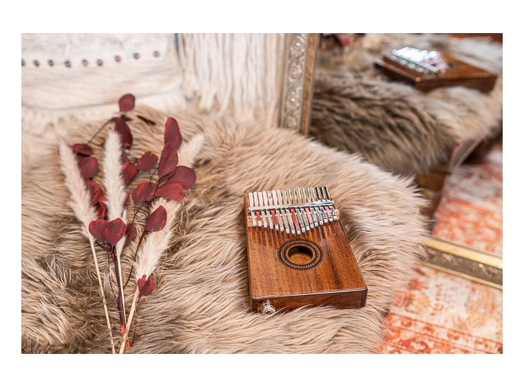 Meinl Sonic Energy PKL1707H Kalimba med pickup, C Major 17-Notes, Acacia 